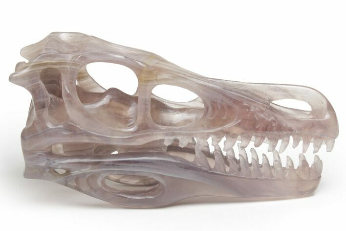 Carved, Banded Fluorite Dinosaur Skull #218476